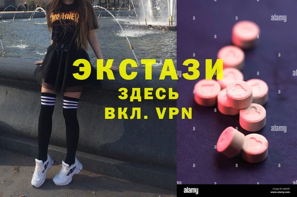 ECSTASY Богородск